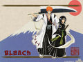 Bleach 74437837