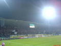 Sturm Graz!!! 31019052