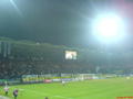 Sturm Graz!!! 31019094