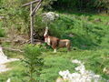 Kurzurlaub am stubenbergsee 67428040