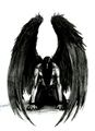 Black angel 73193974