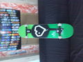 new lance and other skate stuff 74129415