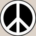 !!PEACE!! 73263980