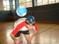 Volleyball! 16014667