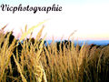 Vicphotographie * ((: 74749765