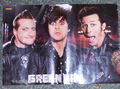 green day  73014763