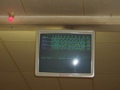 Pferde On Tour: BOWLING 32004311