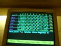 Pferde On Tour: BOWLING 32005779