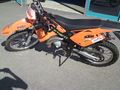 unsere mopeds^^ 74383234