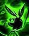 playboy bunny 3235627