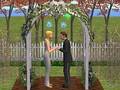 Sims 2 1697110