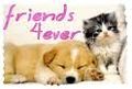 Best Frinds 4-ever 73913434