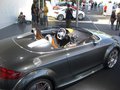 GTI - Treffen 2007 20256698