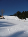 Skifahren 31618330