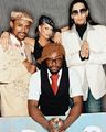 The black eye peas 73477691