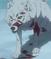 Wolfs Rain 73744841