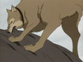 Wolfs Rain 73744979