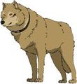 Wolfs Rain 73744980