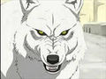 Wolfs Rain 73745036