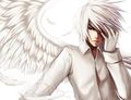 Anime Angel 75028722