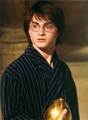 potter,harry potter*gg* 3948888