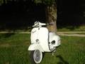 Meine Vespa´s 7201576