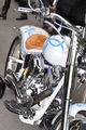 Harley Treffen Wien 73440683