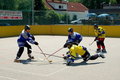 Hockey 21302001