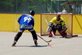 Hockey 21302021