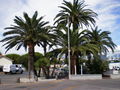 Cannes ~2oo8~ 45839640