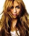 Miley 74565011