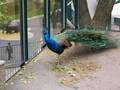 Tierpark Schönbrunn 6981027