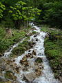 Gosausee- Wanderung 65033415