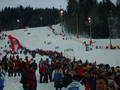 night race - schladming ... 5127453