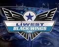 Black Wings 2860075