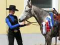 CHNW-C Westernstable Lindlmayr 30.4.2005 877921