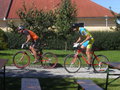 Race arround the Bauernhof 10209279