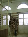 tierpark wien 51666918