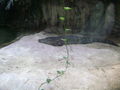 tierpark wien 51667127