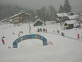 Skifoan Gosau 21.2.09 54753000