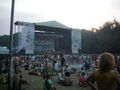 Sziget 2008 43550605