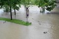 Alle Jahre wieder - Hochwasser 27577335