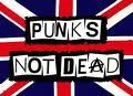 pUnK 74067395