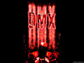 DMX 11107212