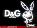 D&G 9576799