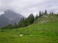 BERGSTEIGEN GR. PYHRGAS 30-08-2008 52124729