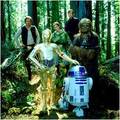 R2D2's Album 833660