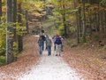 07.10.07 Wandern am Grünberg 29395406