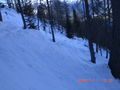 Warscheneck 2388 Meter mit Skier 51846559