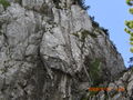 Gosaukamm Überquerung,Klettersteig 61949123